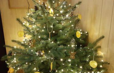 Dom Rooms of Poland - 500m od Suntago - Photo 11