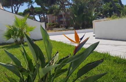 Scauri resort - Foto 13