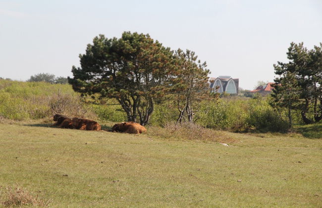 Cozy Apartment in Bergen aan Zee near Beach - Photo 21