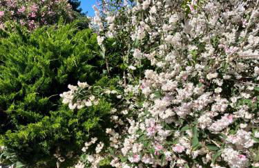 Villa Ornella - 3 bagni, giardino, mare a 1 minuto - Foto 35