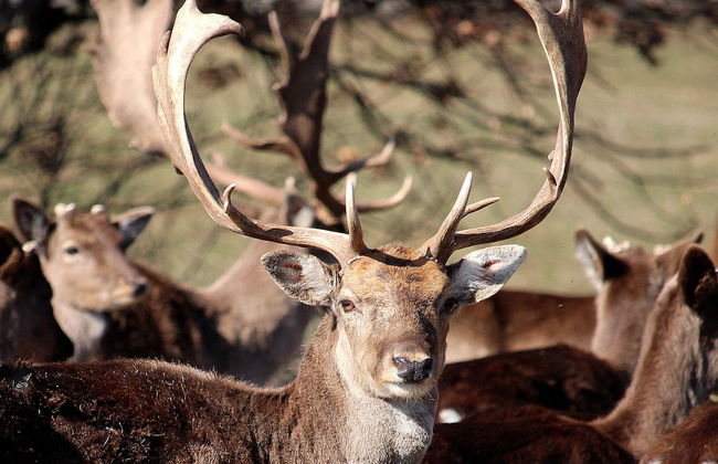 Wine & SPA Complex Starossel - Foto 51