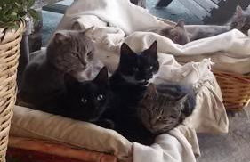 Agriturismo Sugheretello - Foto 15