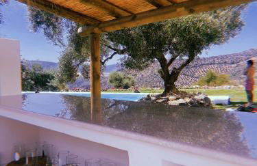 Hacienda Molino Nuevo - Foto 39