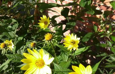 Krötenhof Barförde - Foto 39