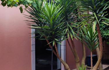 Family Secrets Santo André - Foto 29