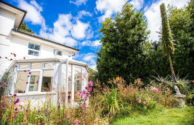 Trees Annex - Photo 20