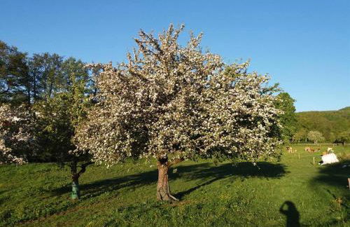 Ferienwohnung Ellen - Foto 22