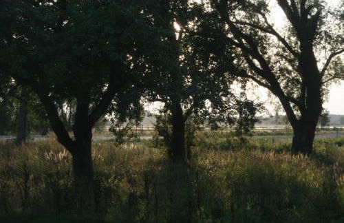 Landhaus an der Wiek - Foto 18