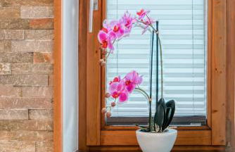 Ferienwohnung Wilder Kaiser - Foto 19