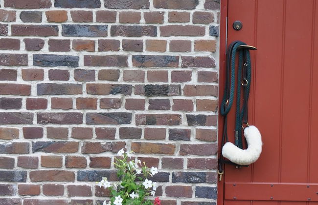 Hjortsby Torp - Country Living & Golf - Foto 31