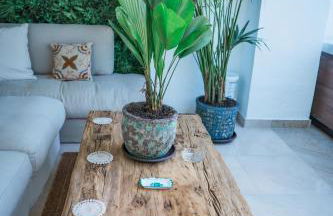 Casa Elegancia - Beach Paradise - Photo 59