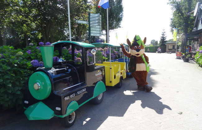 3 bedroom House in Udenhout with swimming pool and garden - Photo 10