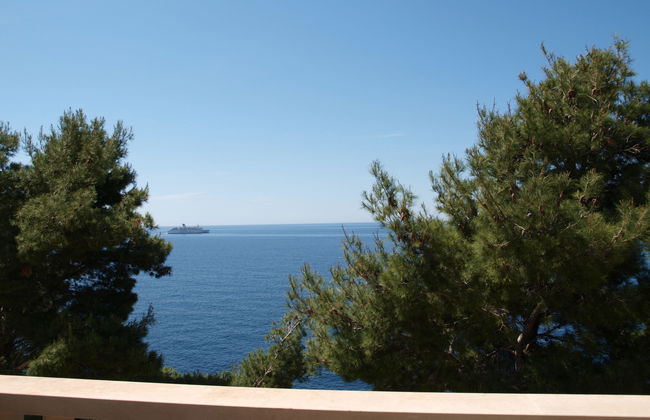 Plavac Mali - Photo 7