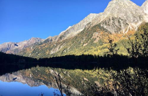 Apartments Frieda - Foto 39