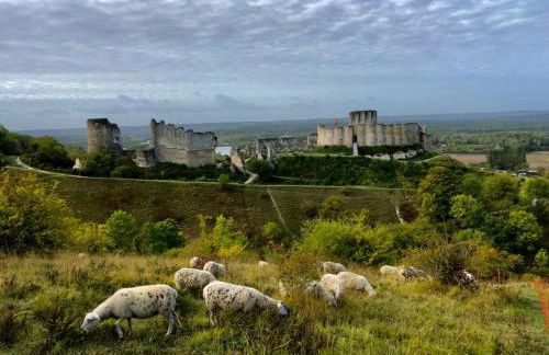 Le Romarande, Cottage détente avec SPA privatif - Foto 14