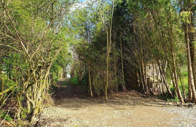 Holiday Home in Houffalize Near Nisramont - Photo 29