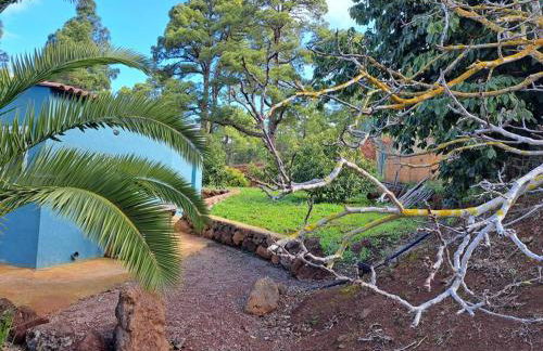 Casa Nogal - Foto 18