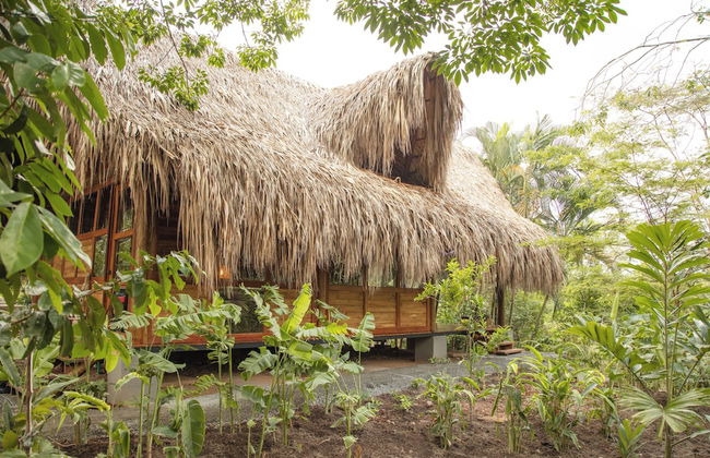 Hacienda Boutique - Photo 41