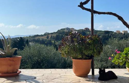 Golden View Apartments - Foto 50