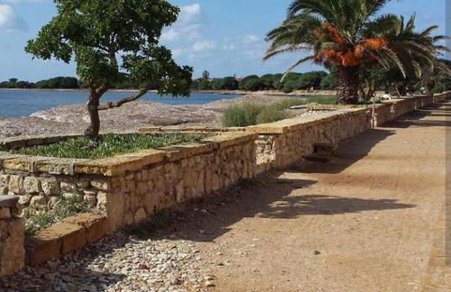 Brezza di Mare - Foto 38