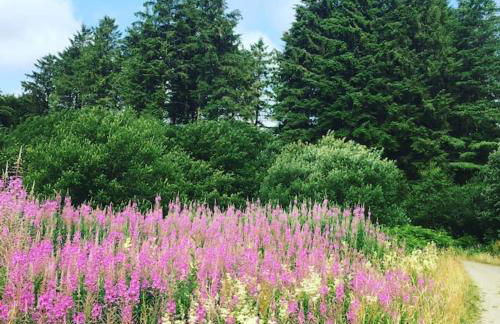 Bramble Cottage on the edge of Exmoor - Foto 35