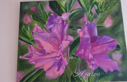 The Paddocks Cottages - Foto 50