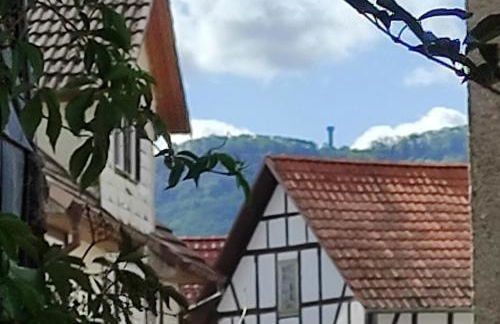 cosyTinyhouse Großburschla - Foto 3