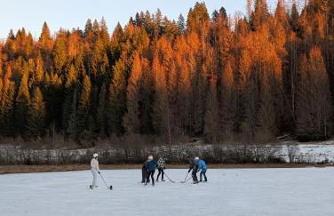 La Canopée Jurassienne - Foto 31