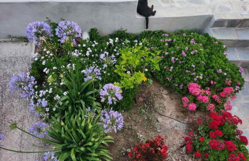 The Sound of the Sea - Foto 25