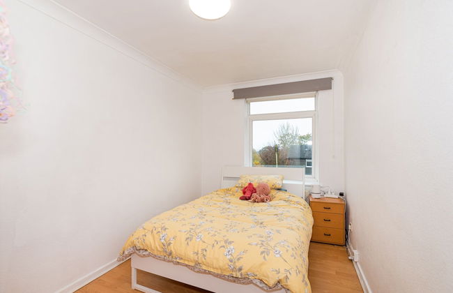 Forest View Bright Apartment - Foto 3