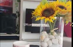 Susie's Beautiful Caravan near the sea - Foto 5