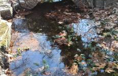 Δίδυμοι καταρράκτες apartment - Twin waterfalls apartment - Foto 9