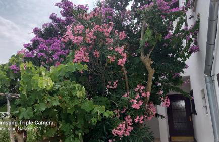 Eco Secluded apartments Zabodarski - Foto 76