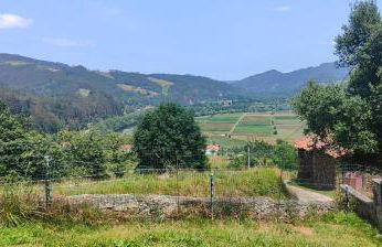 La Casita de Tití - Foto 32