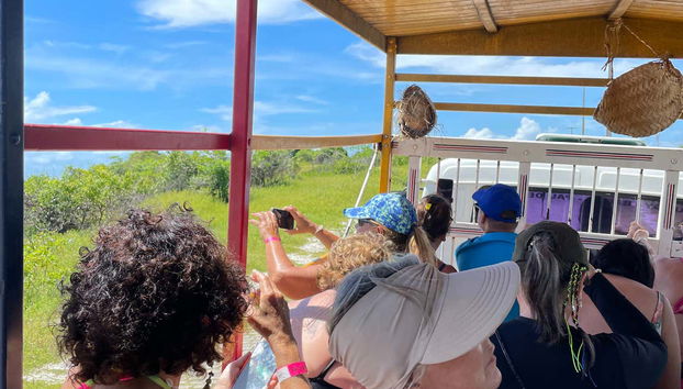 Viajando en un camión tradicional pau-de-arara