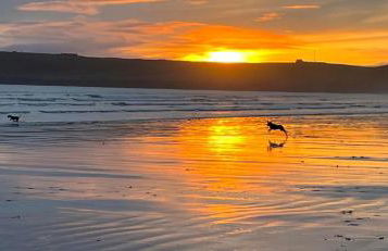 Orkney Retreats Island Farmhouses & Cottages - Photo 39