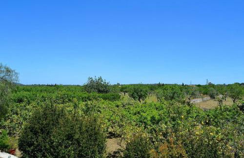 128 Finca Son Rossinyol ETV10657 by Mallorca Charme - Foto 26