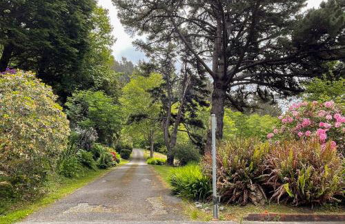 Freshwater Lagoon Retreat - Foto 64