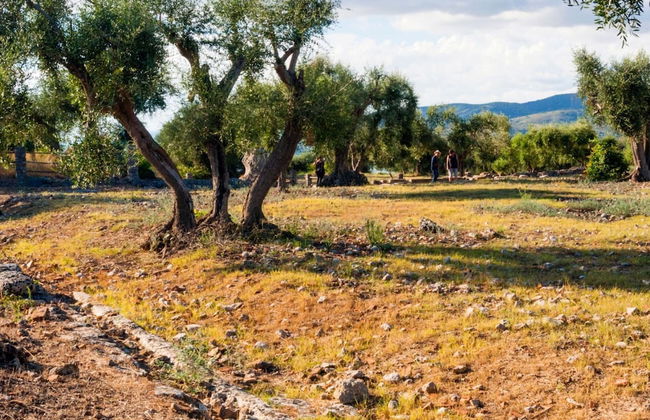 Villa Ada in Ansedonia - Foto 48