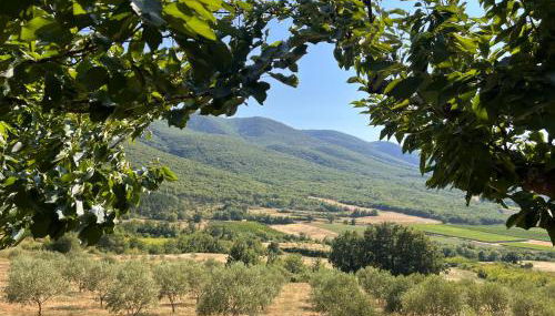 Le Grand Hermas - Foto 5