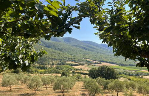 Le Grand Hermas - Foto 5