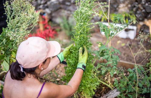 Azor'Oasis - Photo 9