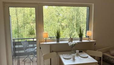 Sonniges CityNest Apartment mit Balkon und bester Verkehrsanbindung Komplette Unterkunft - Foto 2