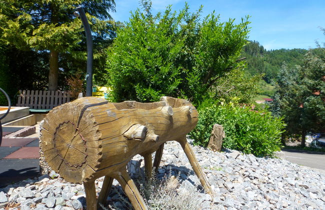 Pension Himmelsbach - Foto 28