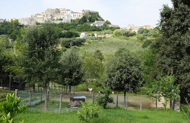 Agriturismo L'Arca - Photo 20