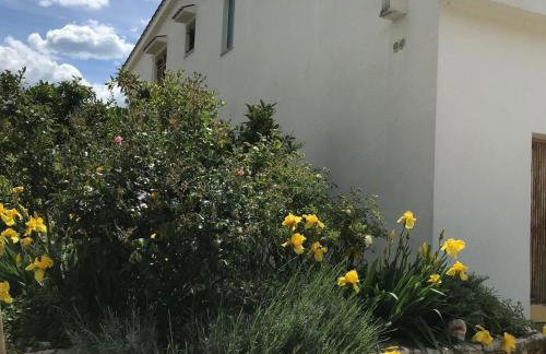 House Katy - Foto 17