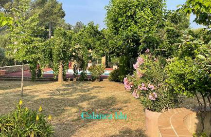 Calanca blu : grand appartement - Foto 29
