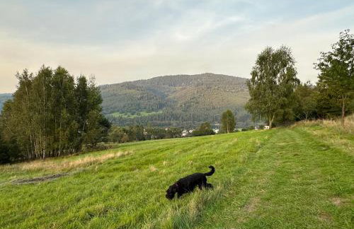 Osada Wichrowe Wzgórze - Foto 11