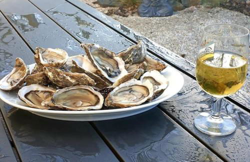 Côté Mer - Jardin privatif à 200m de la plage - Photo 16