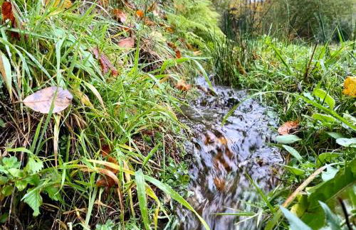 Apartment-Chalet Panorama - Foto 50